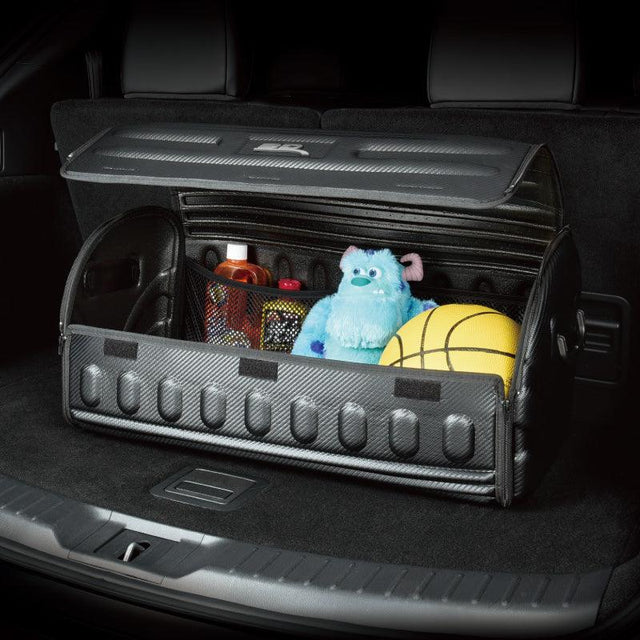 HANDY TRUNK CARBON